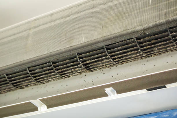 Best Mold and Mildew Removal from Ducts in USA